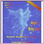 Angels That Bring Love Meditation CD by Robbie Wright Angels That Bring Love Meditation CD by Robbie Wright